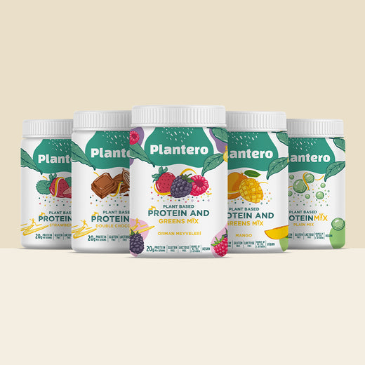 Bitkisel Protein Tanışma Paketi