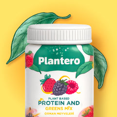 Protein Mixleri