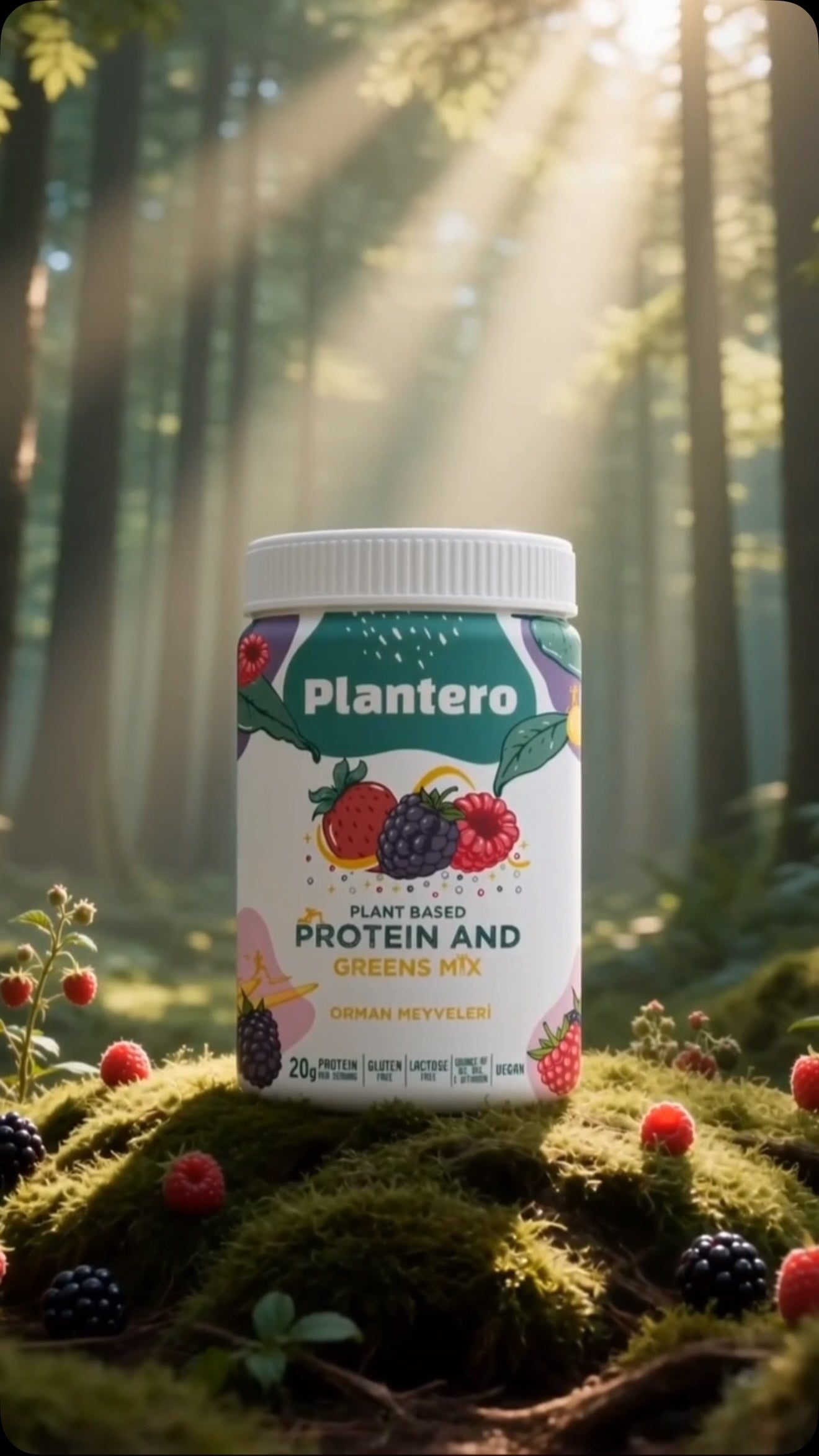 Orman Meyveli Protein Mix